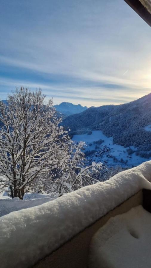 Terrasses Du Morel - A17 - Appart 5 Pers Doucy Экстерьер фото